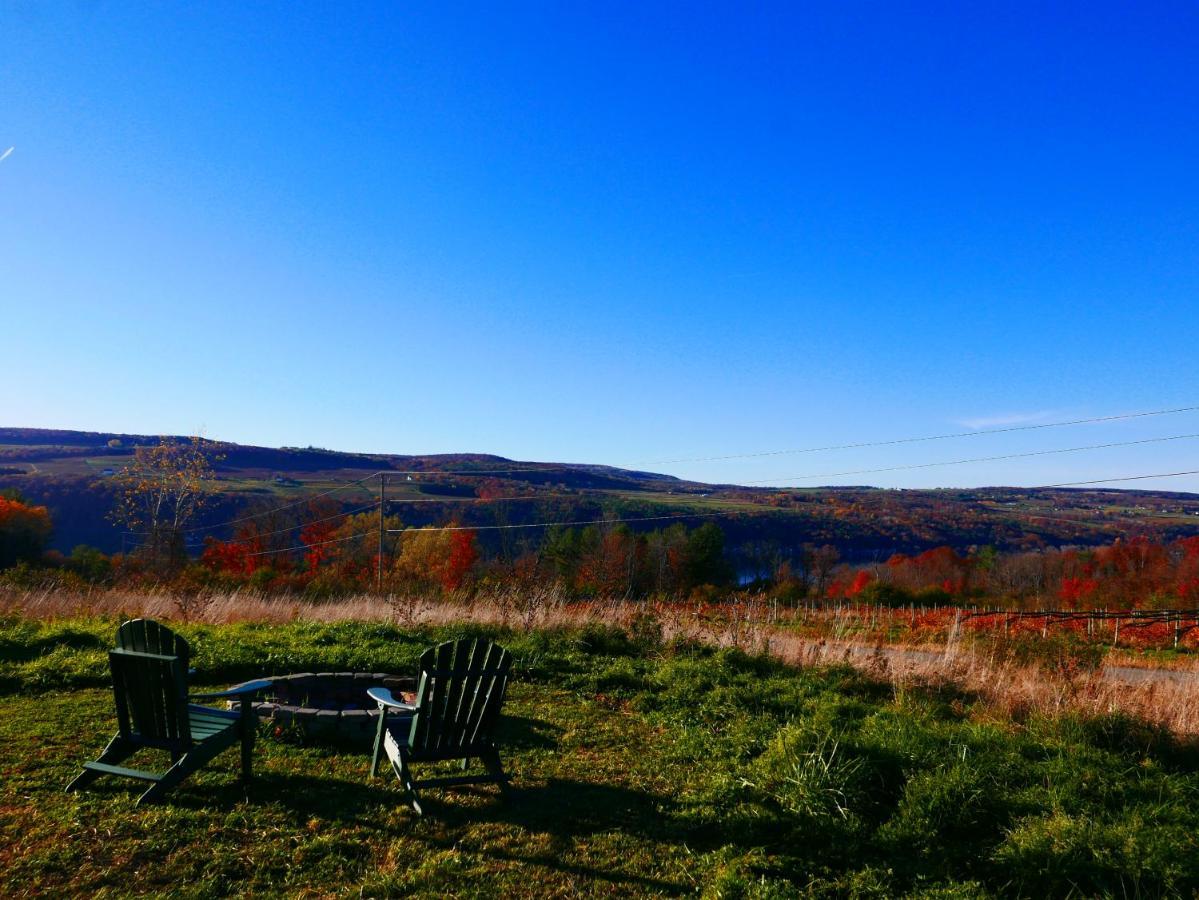 Vineyard Farmhouse With Hot Tub & Lake Views Hammondsport Luaran gambar